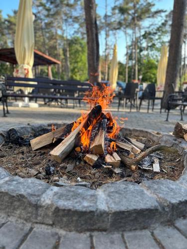 a fire pit in a park with wood on it at Grand Laola Spa in Pobierowo