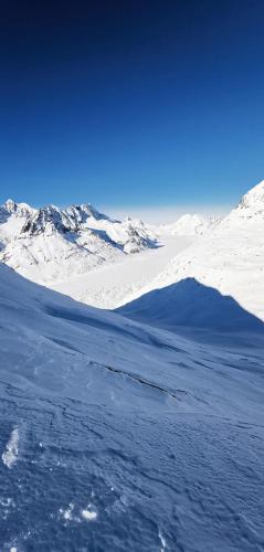 a view of a snow covered mountain range from an airplane at Imhof Alpine B&B Apartments in Bettmeralp