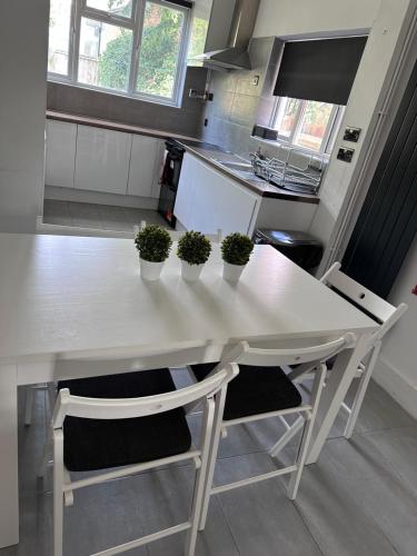 A kitchen or kitchenette at Large Double En-suite Bedroom in a House in London, Private Parking & Garden, 2 minute walk from underground, Free Wi-Fi
