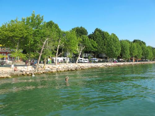 a person swimming in a body of water at Holiday Home Cisano & San Vito-5 by Interhome in Calmasino