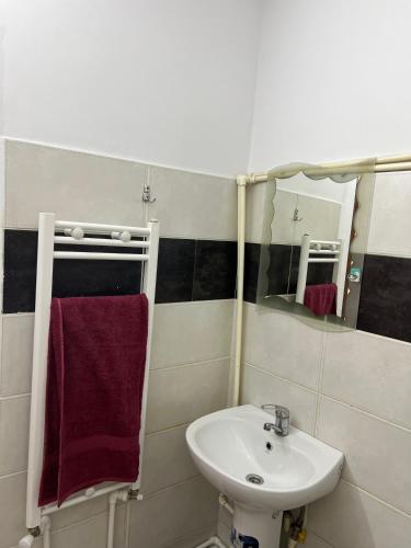 a bathroom with a sink and a mirror at Luana & Priam home in Petrila