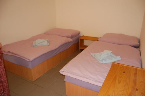 duas camas num quarto com lençóis rosa e roxo em Ubytování U Vítů 