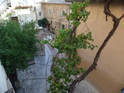uma vista aérea de um beco com uma árvore em La vecchia vite casa vacanze em Trevi