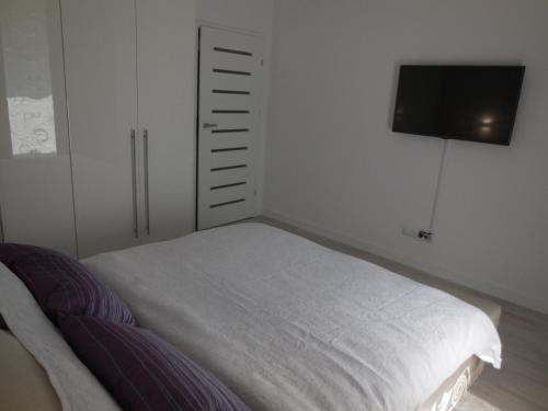 ギジツコにあるApartment Gizyckoのベッドルーム(ベッド1台、薄型テレビ付)