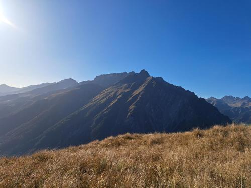 a mountain in the middle of a field of grass at Apart am Brunnen in Ried im Oberinntal