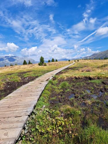 a wooden path in a field with a blue sky at Apart am Brunnen in Ried im Oberinntal