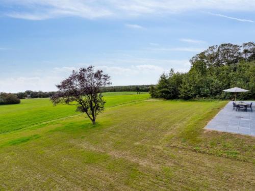 a tree in the middle of a field with a table at Holiday Home Landuin - 30km from the sea by Interhome in Løgumkloster