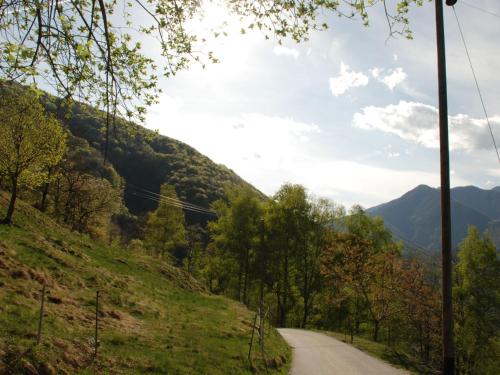 a road in the mountains with trees on either side at Holiday Home Clelia by Interhome in Camedo