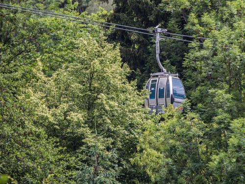 a cable car flying through the trees at Apartment Terrassentraum alpe maritima Ski&See-15 by Interhome in Annenheim