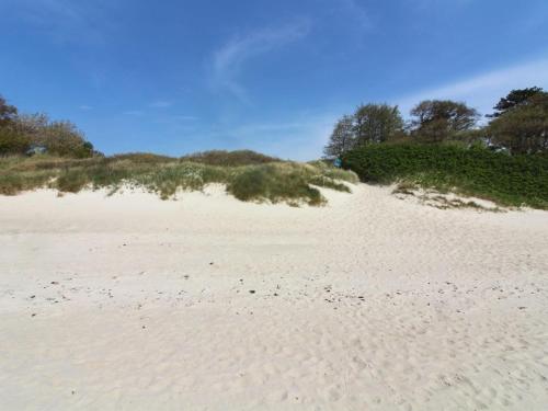 a white sandy beach with grass and trees on it at Holiday Home Ravn - 3-3km from the sea in Bornholm by Interhome in Vester Sømarken