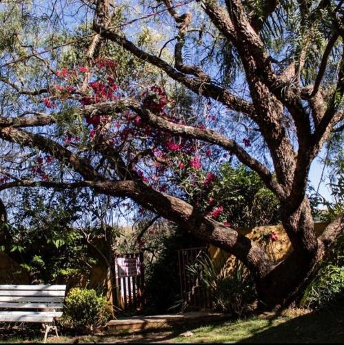 Taman di luar Pousada Vila Serrana