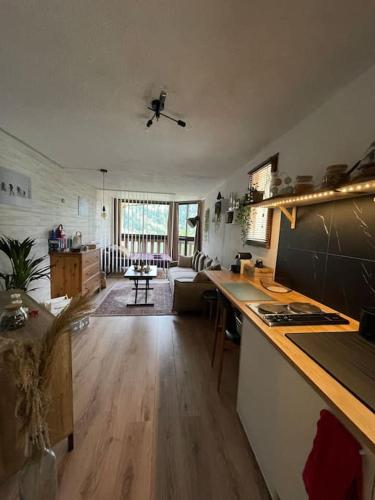 une cuisine avec un comptoir et un salon dans l'établissement La cabane, à Isola 2000