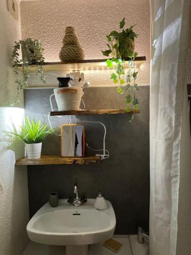 une salle de bain avec un lavabo et des étagères avec des plantes dans l'établissement La cabane, à Isola 2000
