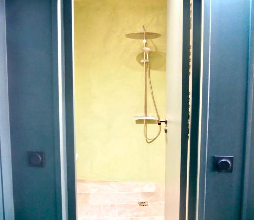 La salle de bains est pourvue d'une douche et d'une porte bleue. dans l'établissement L'Emeraude - Paris 19ème Arrondissement, à Paris