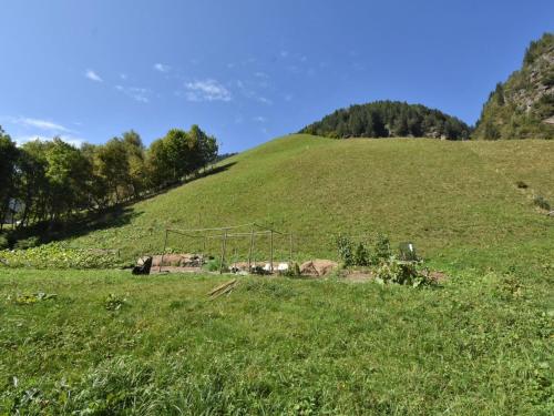 a grassy hill with a farm on it at Apartment La Casetta di Biorca by Interhome in Tartano