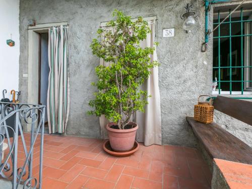 a plant in a pot sitting on a patio at Apartment La casa del Fale di Collodi by Interhome in Collodi