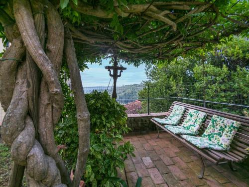 a bench sitting on a patio with a tree at Apartment La casa del Fale di Collodi by Interhome in Collodi
