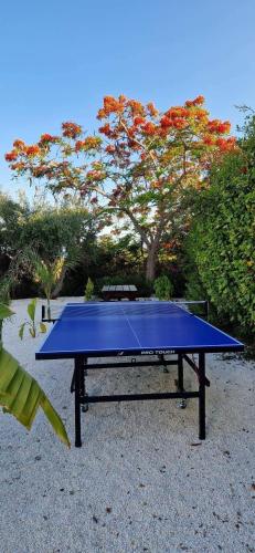 a blue ping pong table in front of a tree at Cocoon Ocean Villa Luxury Escape in Peyia