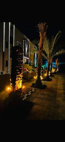 a group of palm trees with lights in front of a building at Villa Silia in Sharm El Sheikh