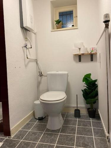 ein Badezimmer mit einem weißen WC und einer Pflanze in der Unterkunft Zentral * Stilvoll * Nahe HBF * Netflix in Aachen