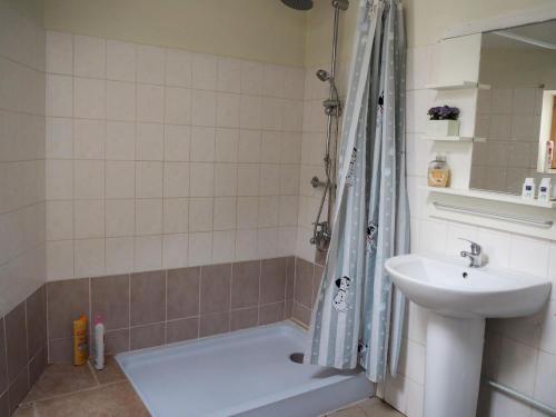 uma casa de banho com um chuveiro e um lavatório. em Gencay La maison blanche em Gençay