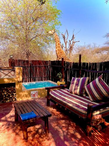Manzini Chalets – Photos 2