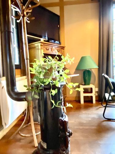 un vase avec une plante dans une pièce avec une télévision dans l'établissement Le chalet bucolique au bord de l'eau, à Olivet