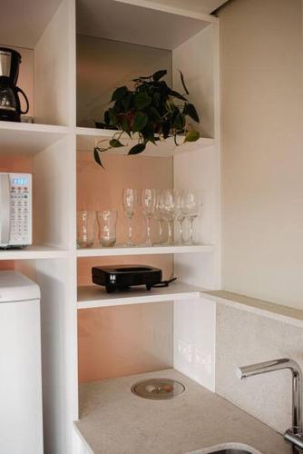 a kitchen with shelves with glasses and a plant at Loft 613 com vista Parque Una in Pelotas