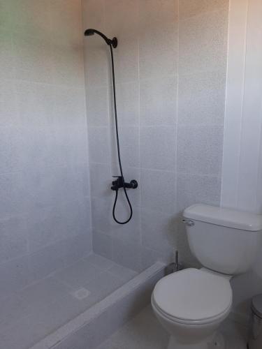 a white bathroom with a toilet and a shower at Cabañas de Campo MARBAJA in Puerto Montt