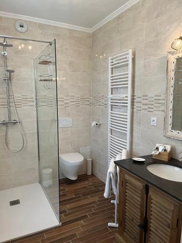 a bathroom with a shower and a sink and a toilet at Logis Le Fleuray in Cangey