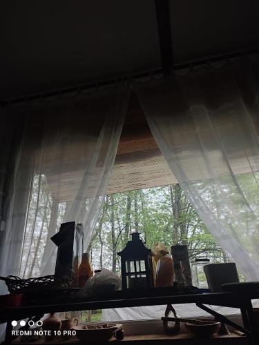 Gambar di galeri bagi OLD CHALET di Bîltişoara