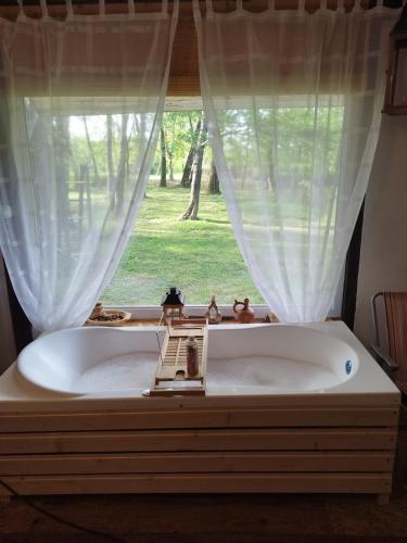 bañera frente a una ventana en OLD CHALET, en Bîltişoara