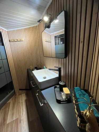 a bathroom with a sink and a mirror at Gîte Le Sambre in Thuin