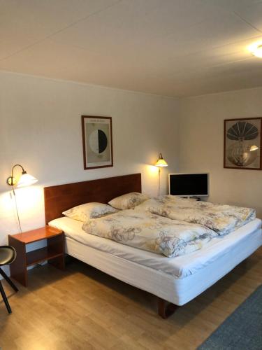 a bedroom with a large bed and a tv at Børglum Mejeri Hotel in Børglum