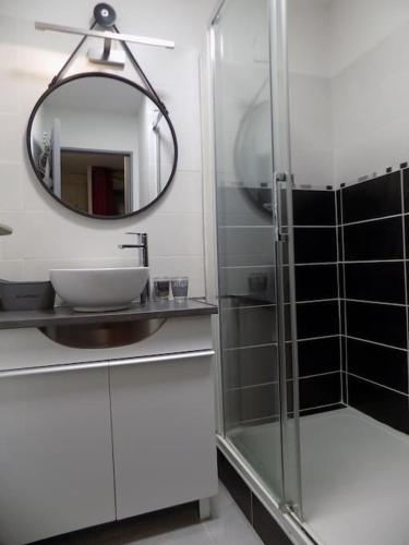 une salle de bain avec un lavabo et un miroir dans l'établissement studio costieres climatisé parking gratuit lave linge loggia, à Nîmes