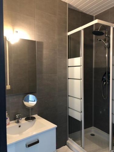 uma casa de banho com um chuveiro, um lavatório e um espelho. em Charmant T2 centre ville em Givet