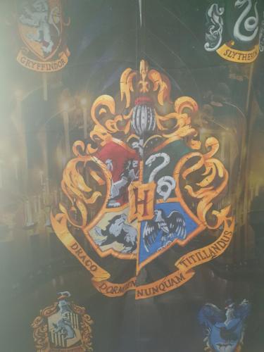 a group of logos on a wall at Harry Potter theme Double room in shared house in Garston