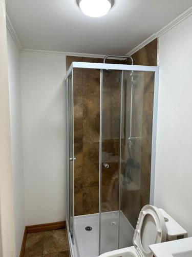 La salle de bains est pourvue d'une douche et de toilettes. dans l'établissement Hospedaje CYR, à Temuco
