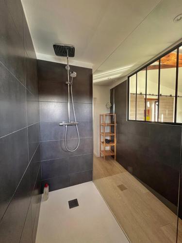 une salle de bain avec une douche avec une porte vitrée dans l'établissement La Bâtie - Vue imprenable - Amazing view - Parking privé, à Vienne