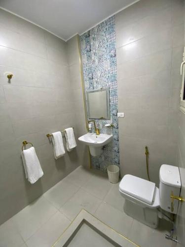 カイロにあるCozy apartment in down townのトイレと洗面台付きのバスルーム