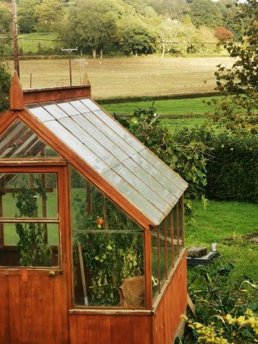 a small greenhouse with a roof in a garden at Newbrea Room 2 in Axminster