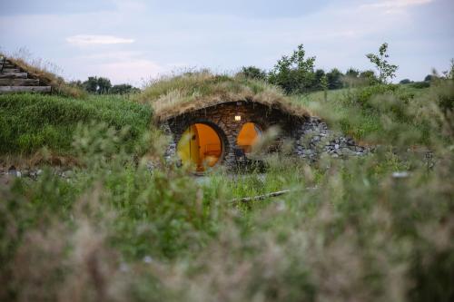 a small house with a grass roof in a field at Mayo Glamping in Castlebar