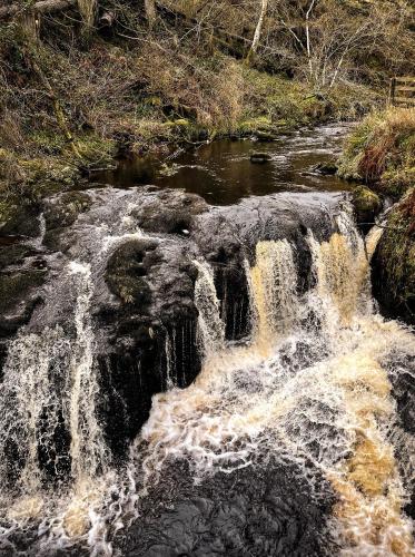a stream of water flowing over rocks in a river at Glenariff Forest Pine Cabin in Glenariff