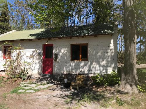 特雷利烏的住宿－Hermosa Casa en zona de Chacras junto al Río Chubut Trelew，一间白色的房子,有红门和一棵树