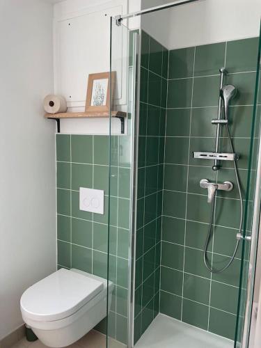 a green tiled bathroom with a toilet and a shower at Charmant Studio avec parking - Confort Moderne in Bourges