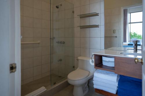 a bathroom with a shower and a toilet and a sink at Ocean Breath Villa at Villas Sol Resort in Sardinal