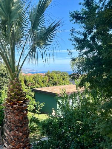 a palm tree in front of a green building at Virdamuri - Etna Country Resort in Giarre