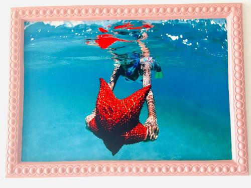a picture of a woman swimming in the water at LA VlTA E' BELLA in Los Mameyes