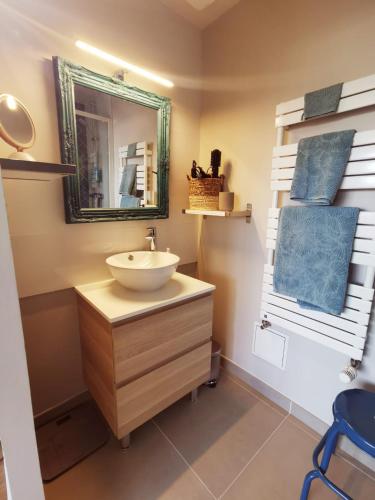 une salle de bain avec un lavabo et un miroir dans l'établissement Grand Appartement Familial, Tours Centre, Parking, à Tours