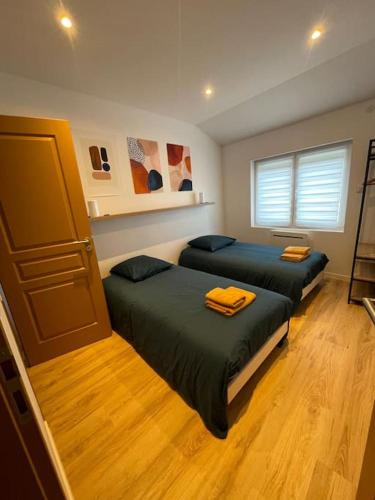 une chambre avec deux lits et une fenêtre dans l'établissement La maison de Carlos, à Gondrecourt-le-Château